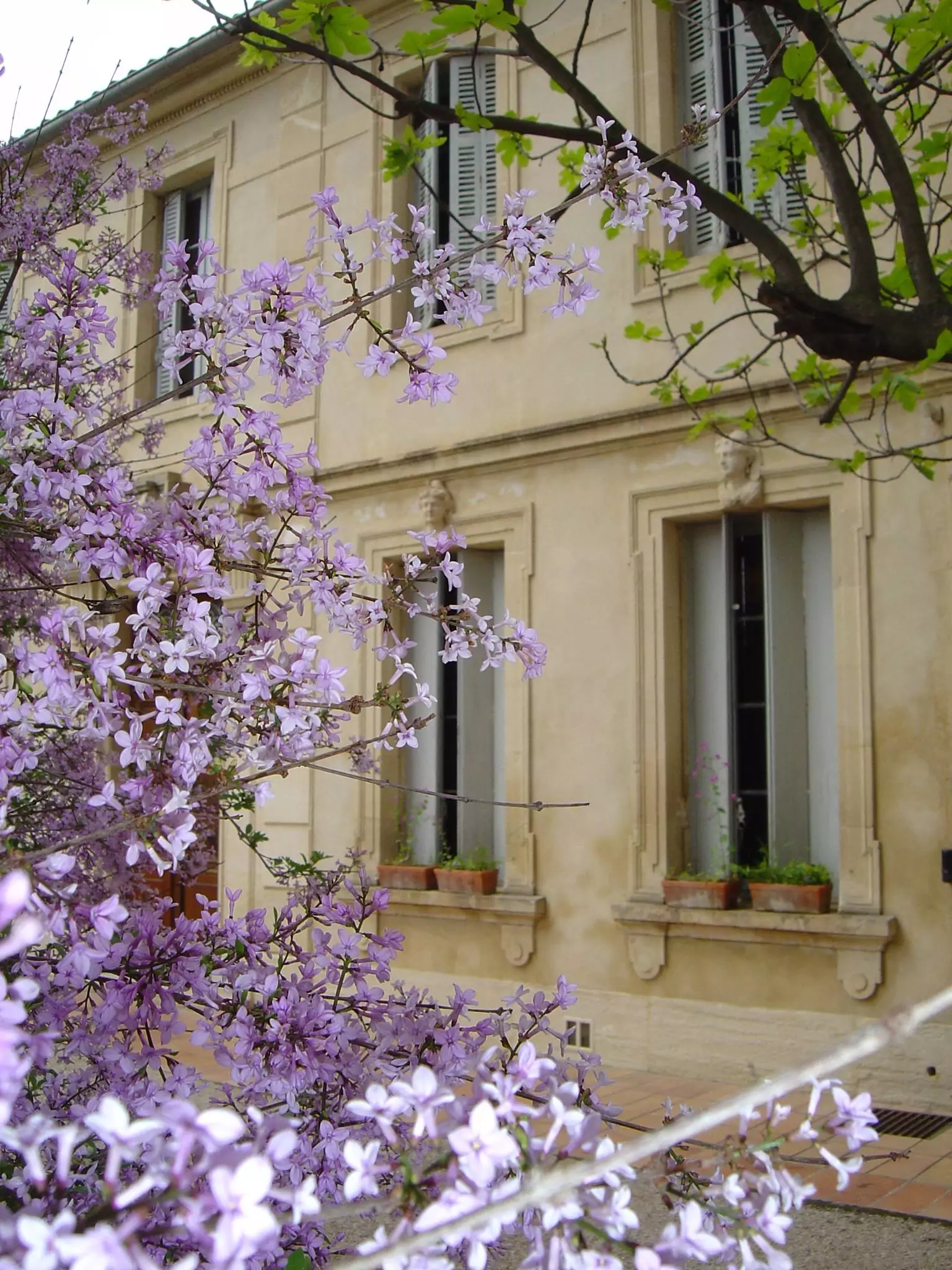 musée Frédéric Mistral