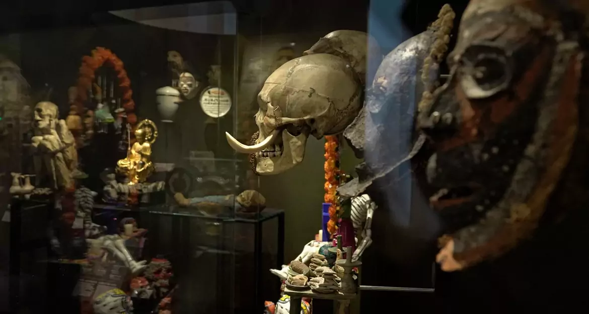 musée de l’homme (muséum national d'histoire naturelle)