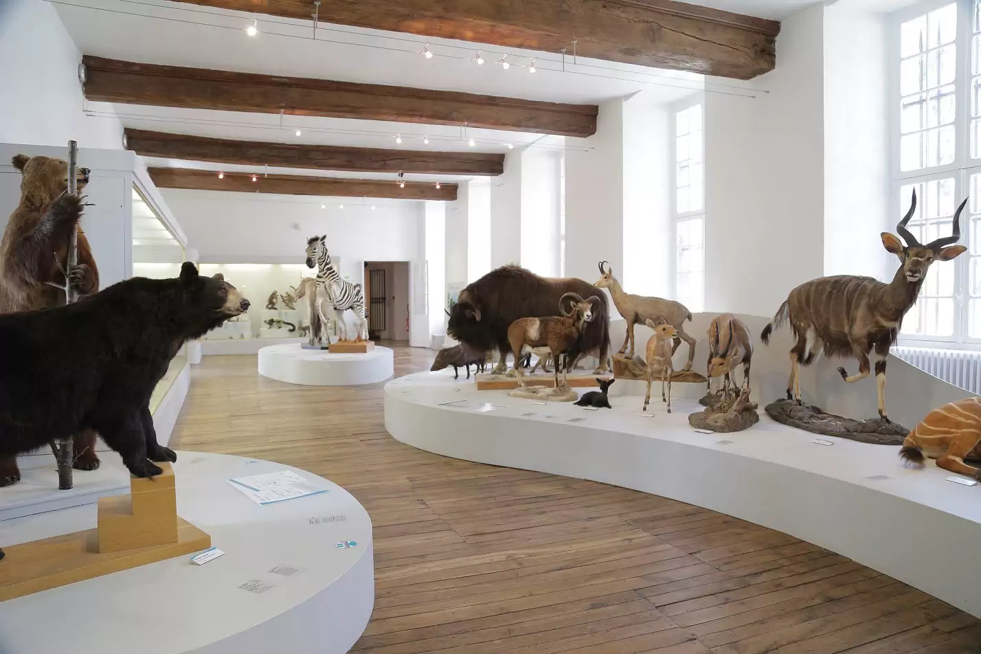 muséum d’histoire naturelle