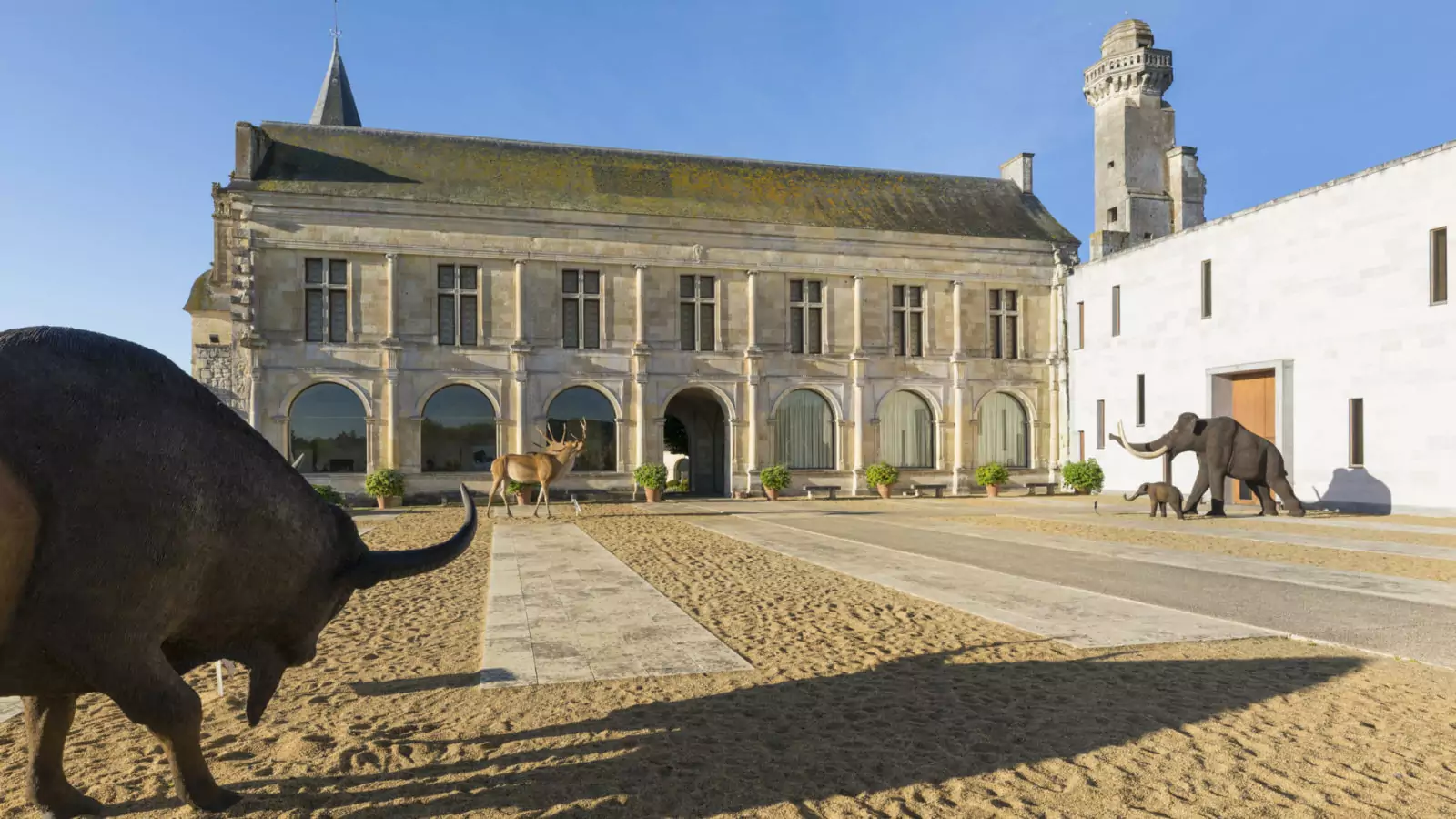 musée départemental de Préhistoire