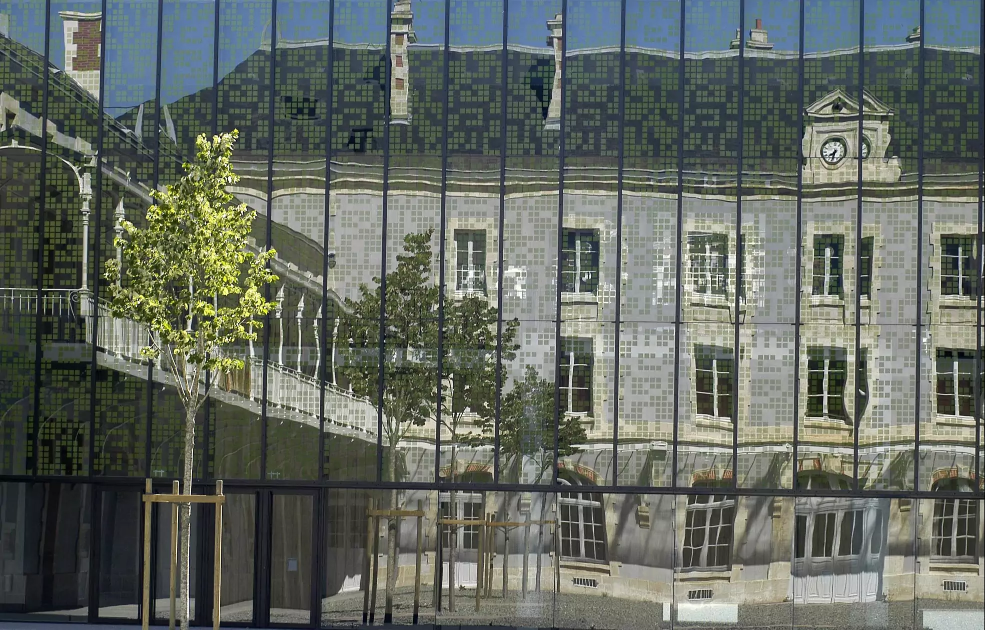 musée d'histoire naturelle