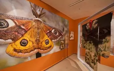 muséum d'histoire naturelle