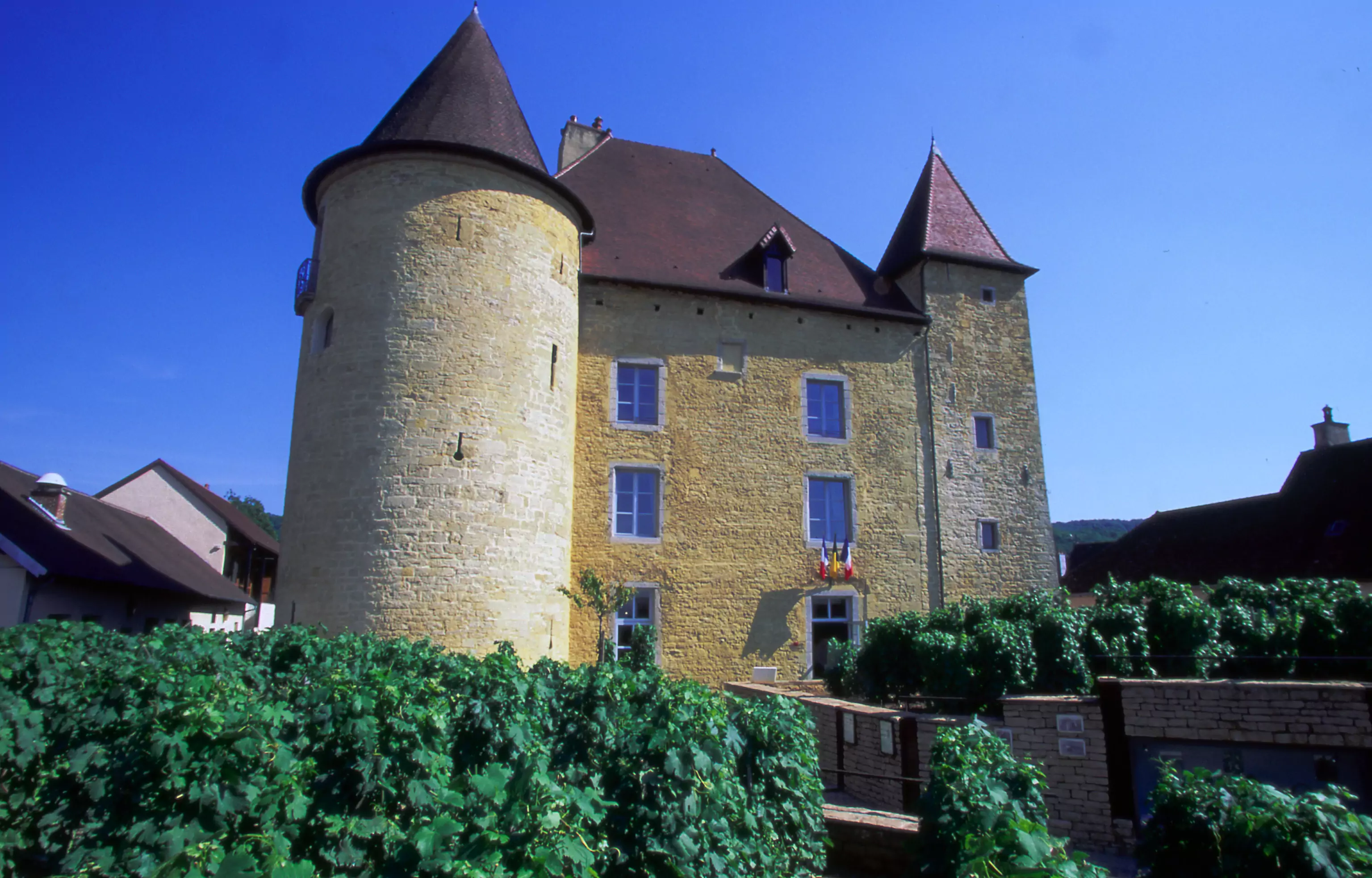 musée de la Vigne et du Vin
