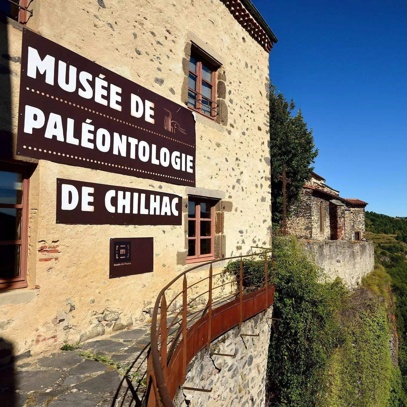 musée de paléontologie