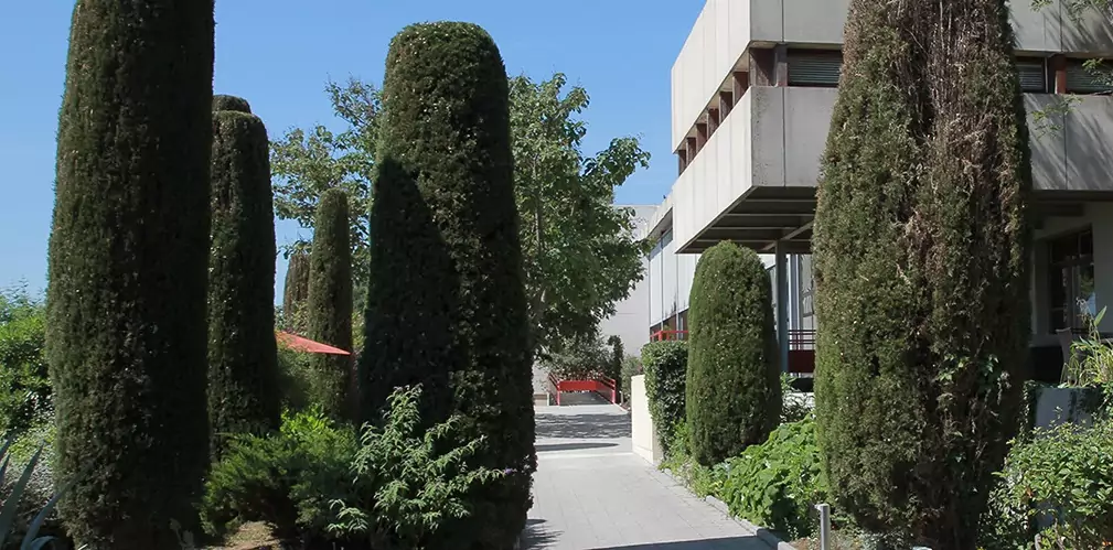 musée Paul Valéry