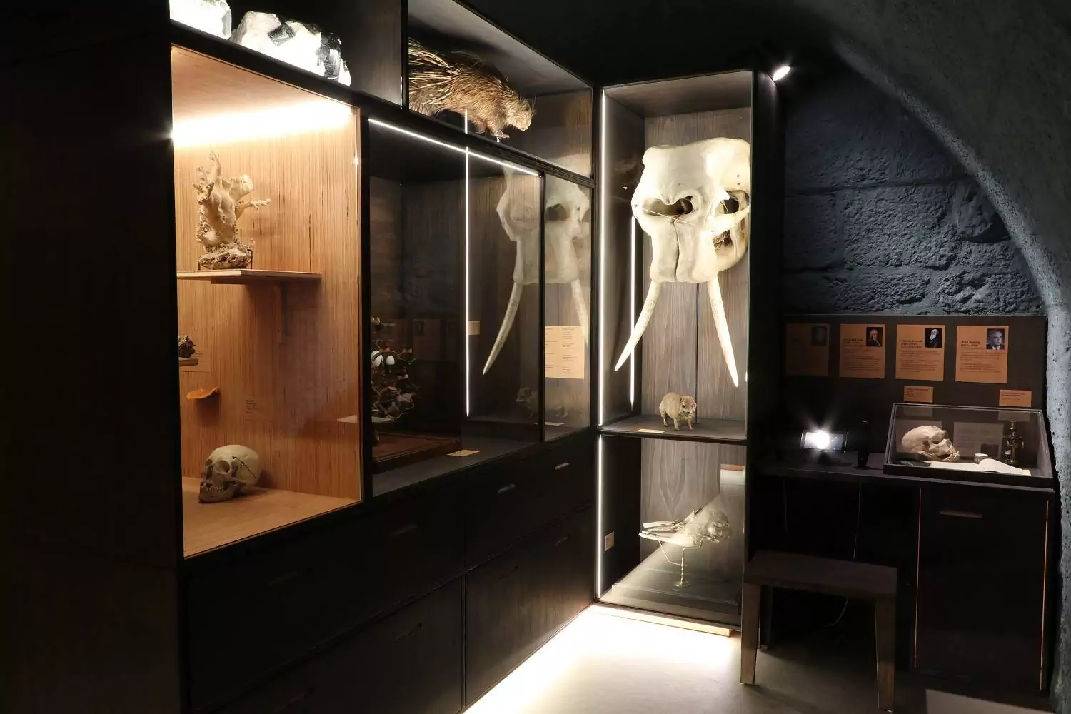 muséum d'histoire naturelle