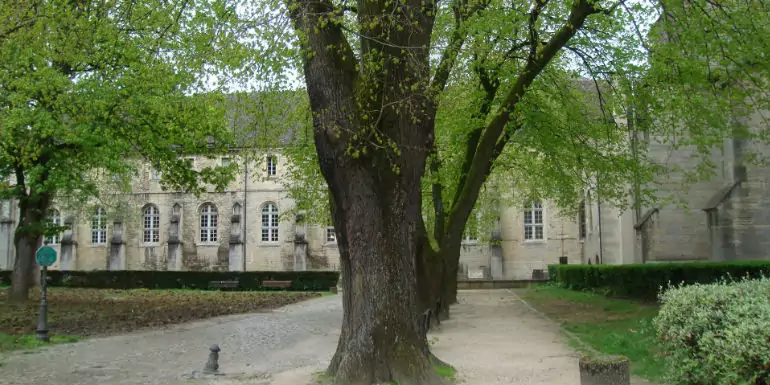musée archéologique